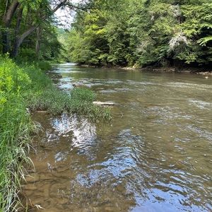 Meet your Posher, Addison